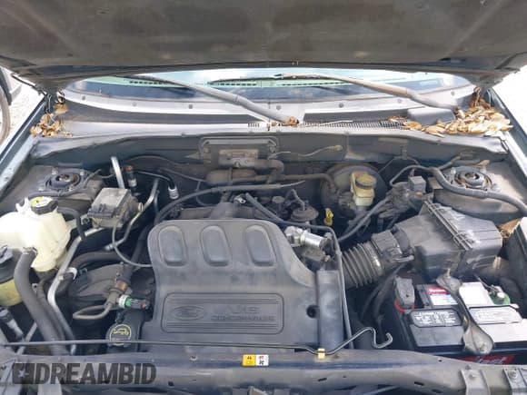 ✅ 2004 Ford Escape XLT • VIN: 1FMYU031X4KB75065 • Lot: 42238562. Listed on IAAI with 195,440 mi. Free auction sales archive from the USA and detailed vehicle history report at DreamBid. Image 10.