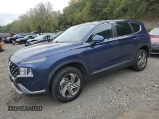 ✅ 2021 Hyundai Santa Fe SE • VIN: 5NMS1DAJ0MH344826 • Lot: 81576985. Listed on Copart with 51,698 mi. Free auction sales archive from the USA and detailed vehicle history report at DreamBid. Image 1.