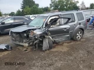 ✅ 2009 Honda Pilot EX-L • VIN: 5FNYF48699B018867 • Лот: 83783455. Опубликован ранее на Copart с пробегом Не указан. Бесплатный доступ к архиву аукционных продаж из США и подробный отчёт об истории автомобиля на DreamBid. Изображение 1.