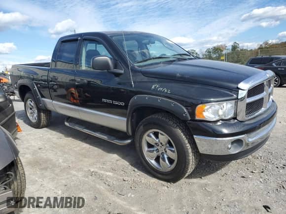 2003 Dodge 1500 ST z VIN 1D7HU18D73S243601, wystawiony jako Copart lot #74584294 z przebiegiem 153 791 mil mil oraz Szkoda całkowita • Salvage title. Historia ofert i sprzedaży dostępna na DreamBid. Obrazek 4.