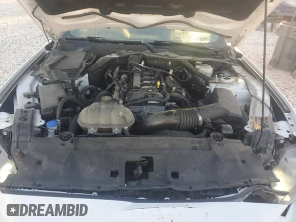 2023 Ford Mustang EcoBoost Premium с VIN 1FATP8UH6P5105734, выставлен на аукционе Copart как лот 90812395 с пробегом 67 596 миль миль и Чистый • Clean title. История ставок и продаж доступна на DreamBid. Изображение 11.