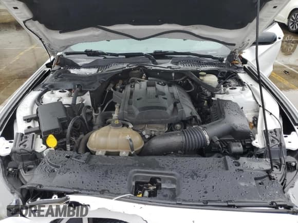 ✅ 2016 Ford Mustang EcoBoost Premium • VIN: 1FATP8UH2G5216409 • Лот: 85640265. Опубликован ранее на Copart с пробегом 116 151 миль. Бесплатный доступ к архиву аукционных продаж из США и подробный отчёт об истории автомобиля на DreamBid. Изображение 11.