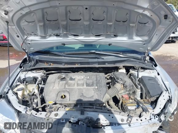 ✅ 2010 Toyota Corolla LE • VIN: 2T1BU4EE9AC277181 • Lot: 43586291. Wystawiony na IAAI z przebiegiem 185 435 mil. Bezpłatny archiwum sprzedaży aukcyjnych z USA i szczegółowy raport historii pojazdu na DreamBid. Zdjęcie 10.