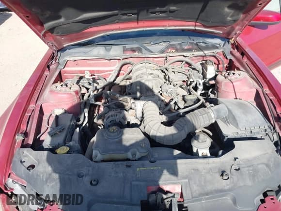 ✅ 2010 Ford Mustang V6 • VIN: 1ZVBP8AN0A5140757 • Lot: 43618267. Listed on IAAI with 246,640 mi. Free auction sales archive from the USA and detailed vehicle history report at DreamBid. Image 10.