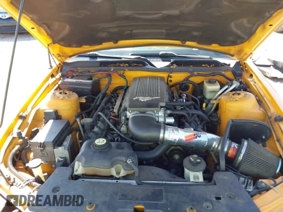 ✅ 2008 Ford Mustang GT Deluxe • VIN: 1ZVHT82H885149991 • Lot: 41659094. Listed on IAAI with 140,534 mi. Free auction sales archive from the USA and detailed vehicle history report at DreamBid. Image 10.