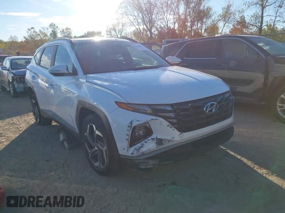 ✅ 2022 Hyundai Tucson SEL Convenience • VIN: KM8JFCA16NU041904 • Lot: 43451001. Wystawiony na IAAI z przebiegiem 98 847 mil. Bezpłatny archiwum sprzedaży aukcyjnych z USA i szczegółowy raport historii pojazdu na DreamBid. Zdjęcie 17.