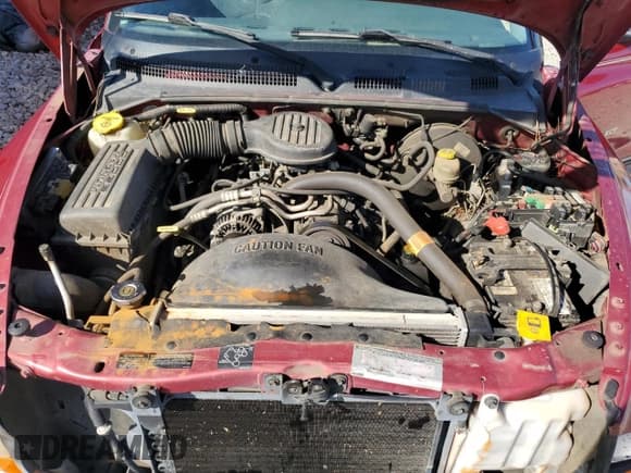 ✅ 1998 Dodge Dakota SLT • VIN: 1B7GL22X8WS762467 • Lot: 78916364. Wystawiony na Copart z przebiegiem 178 623 mil. Bezpłatny archiwum sprzedaży aukcyjnych z USA i szczegółowy raport historii pojazdu na DreamBid. Zdjęcie 11.