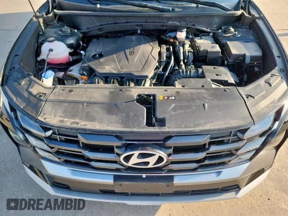 ✅ 2025 Hyundai Tucson SEL • VIN: 5NMJB3DE7SH445876 • Lot: 80882515. Listed on Copart with 18,902 mi. Free auction sales archive from the USA and detailed vehicle history report at DreamBid. Image 12.