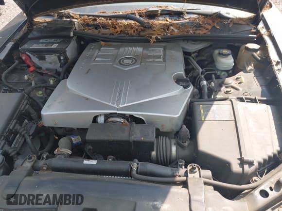 ✅ 2007 Cadillac CTS • VIN: 1G6DP577570195149 • Lot: 42440908. Listed on IAAI with 110,192 mi. Free auction sales archive from the USA and detailed vehicle history report at DreamBid. Image 10.