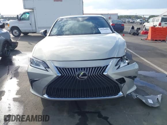 ✅ 2019 Lexus ES 350 • VIN: JTHBZ1B18K2002546 • Lot: 43336601. Wystawiony na IAAI z przebiegiem 63 634 mil. Bezpłatny archiwum sprzedaży aukcyjnych z USA i szczegółowy raport historii pojazdu na DreamBid. Zdjęcie 12.