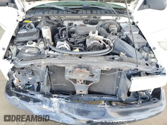 1999 Chevrolet S-10 с VIN 1GCCS14X8XK221039, выставлен на аукционе Copart как лот 69882634 с пробегом Не указан миль и Списание • Salvage title. История ставок и продаж доступна на DreamBid. Изображение 11.