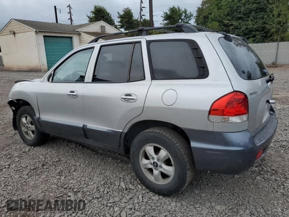 2005 Hyundai Santa Fe GLS with VIN KM8SC13E45U894450, listed as a Copart auction lot 81126475 with 117,824 mi miles and Salvage title. Bid and sale history available at DreamBid. Image 2.