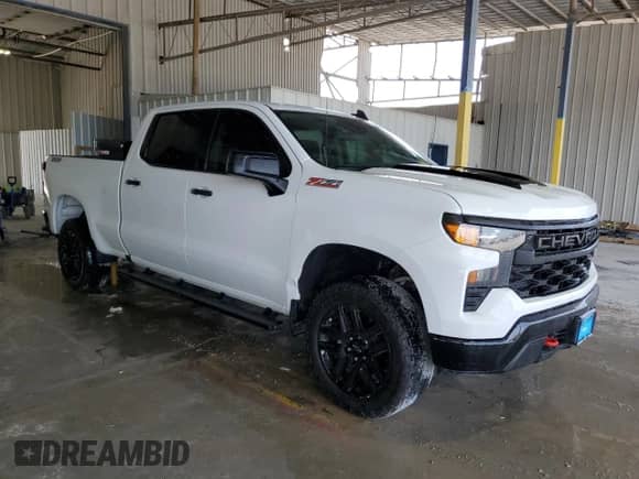 2022 Chevrolet Silverado 1500 Custom Trail Boss with VIN 3GCPDCED1NG644402, listed as a Copart auction lot 50688175 with 103,297 mi miles and Clean title. Bid and sale history available at DreamBid. Image 4.