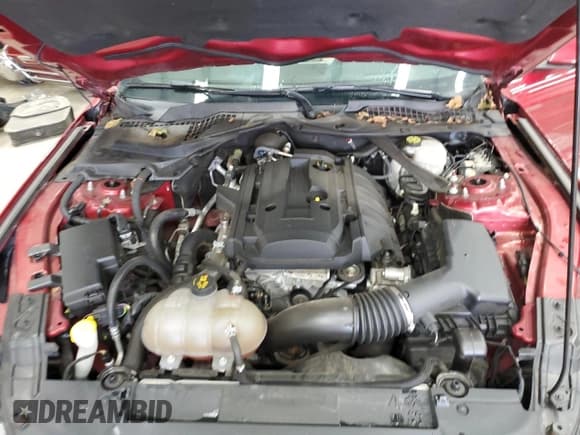 ✅ 2019 Ford Mustang EcoBoost Premium • VIN: 1FATP8UH7K5103872 • Lot: 82412685. Wystawiony na Copart z przebiegiem 43 098 mil. Bezpłatny archiwum sprzedaży aukcyjnych z USA i szczegółowy raport historii pojazdu na DreamBid. Zdjęcie 11.