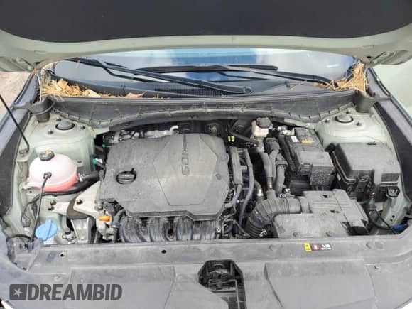 2023 Hyundai Santa Cruz SEL z VIN 5NTJBDAE5PH075498, wystawiony jako Copart lot #81267264 z przebiegiem 23 989 mil mil oraz Czysty tytuł • Clean title. Historia ofert i sprzedaży dostępna na DreamBid. Obrazek 11.