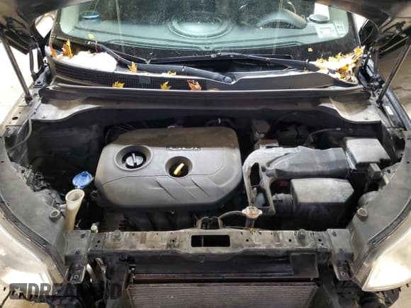 ✅ 2014 Kia Soul + • VIN: KNDJX3A54E7084043 • Лот: 92204365. Опубликован ранее на Copart с пробегом 155 897 миль. Бесплатный доступ к архиву аукционных продаж из США и подробный отчёт об истории автомобиля на DreamBid. Изображение 11.