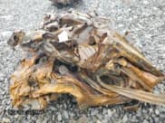 ✅ 2017 Porsche Cayenne • VIN: WP1AA2A26HKA82487 • Лот: 55988005. Опубликован ранее на Copart с пробегом Не указан. Бесплатный доступ к архиву аукционных продаж из США и подробный отчёт об истории автомобиля на DreamBid. Изображение 11.