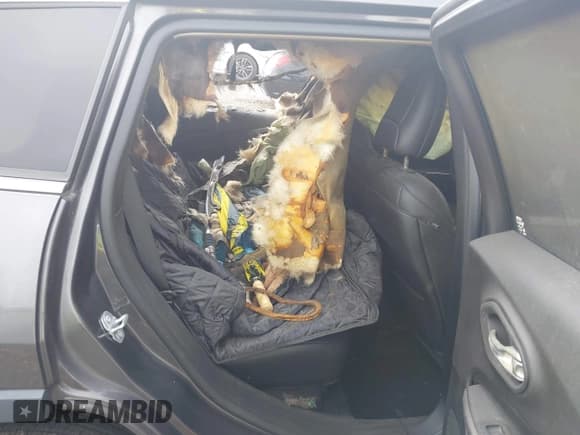 ✅ 2020 Jeep Cherokee Latitude Plus • VIN: 1C4PJMLB3LD500408 • Лот: 42317946. Опубликован ранее на IAAI с пробегом 24 802 миль. Бесплатный доступ к архиву аукционных продаж из США и подробный отчёт об истории автомобиля на DreamBid. Изображение 8.