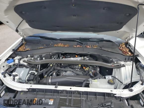 ✅ 2025 Ford Explorer ST-Line • VIN: 1FMUK8KH1SGB98588 • Lot: 92506595. Wystawiony na Copart z przebiegiem 5 403 mil. Bezpłatny archiwum sprzedaży aukcyjnych z USA i szczegółowy raport historii pojazdu na DreamBid. Zdjęcie 12.