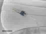 ✅ 1998 Chevrolet S-10 • VIN: 1GCCS14W8W8121476 • Lot: 43405163. Listed on IAAI with Not provided. Free auction sales archive from the USA and detailed vehicle history report at DreamBid. Image 11.