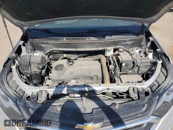 2018 Chevrolet Equinox LT с VIN 2GNAXSEV2J6282805, выставлен на аукционе Copart как лот 82221135 с пробегом 129 948 миль миль и Чистый • Clean title. История ставок и продаж доступна на DreamBid. Изображение 12.