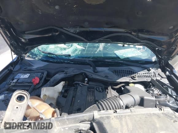 ✅ 2016 Ford Mustang EcoBoost • VIN: 1FA6P8TH8G5236307 • Lot: 42823503. Listed on IAAI with 140,028 mi. Free auction sales archive from the USA and detailed vehicle history report at DreamBid. Image 10.