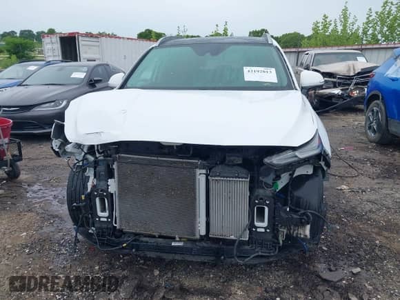 2019 Hyundai Santa Fe Limited с VIN 5NMS5CAA4KH040376, выставлен на аукционе IAAI как лот 42192813 с пробегом 33 464 миль миль и . История ставок и продаж доступна на DreamBid. Изображение 13.