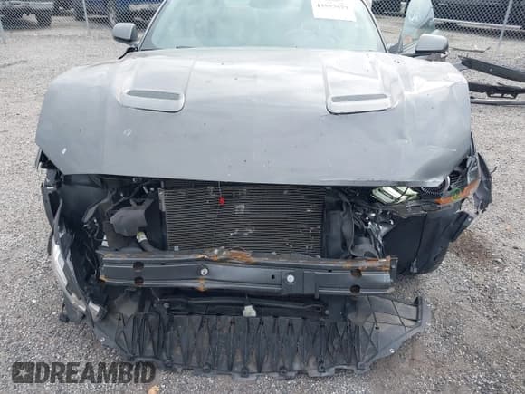 ✅ 2019 Ford Mustang GT • VIN: 1FA6P8CF7K5160974 • Lot: 43557577. Wystawiony na IAAI z przebiegiem 64 432 mil. Bezpłatny archiwum sprzedaży aukcyjnych z USA i szczegółowy raport historii pojazdu na DreamBid. Zdjęcie 13.