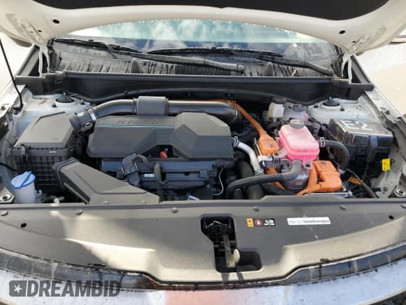 ✅ 2024 Kia Sportage EX • VIN: KNDPVCDG4R7159536 • Лот: 65031305. Опубликован ранее на Copart с пробегом 8 564 миль. Бесплатный доступ к архиву аукционных продаж из США и подробный отчёт об истории автомобиля на DreamBid. Изображение 11.