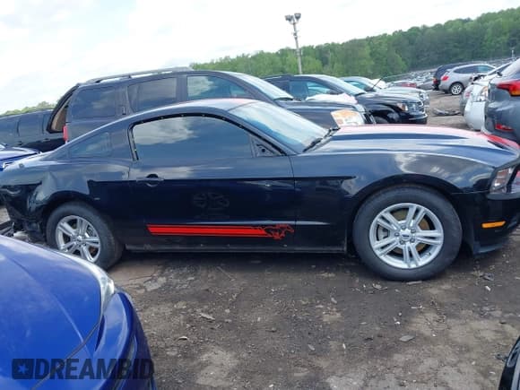 ✅ 2011 Ford Mustang V6 • VIN: 1ZVBP8AM5B5143338 • Lot: 42161117. Listed on IAAI with 143,635 mi. Free auction sales archive from the USA and detailed vehicle history report at DreamBid. Image 14.