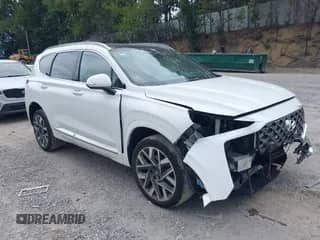 2023 Hyundai Santa Fe Calligraphy z VIN 5NMS5DAL1PH633921, wystawiony jako IAAI lot #43112382 z przebiegiem 16 153 mil mil oraz . Historia ofert i sprzedaży dostępna na DreamBid. Obrazek 1.