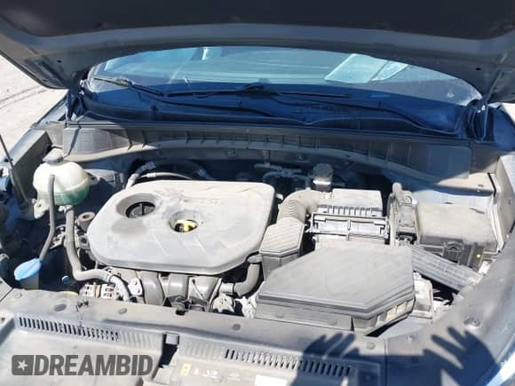 2018 Hyundai Tucson SEL z VIN KM8J33A41JU646040, wystawiony jako IAAI lot #42309676 z przebiegiem 133 862 mil mil oraz . Historia ofert i sprzedaży dostępna na DreamBid. Obrazek 10.