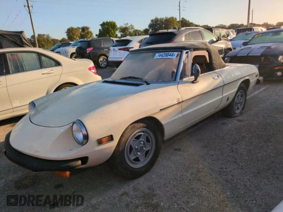 ✅ 1982 Alfa Romeo Spider Veloce • VIN: ZARBA5414C1014655 • Lot: 74420044. Listed on Copart with 63,266 mi. Free auction sales archive from the USA and detailed vehicle history report at DreamBid. Image 1.