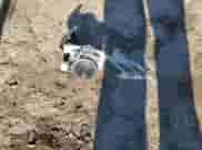 2020 Hyundai Elantra SE with VIN 5NPD74LF3LH511388, listed as a Copart auction lot 87187195 with 50,423 mi miles and Salvage title. Bid and sale history available at DreamBid. Image 12.