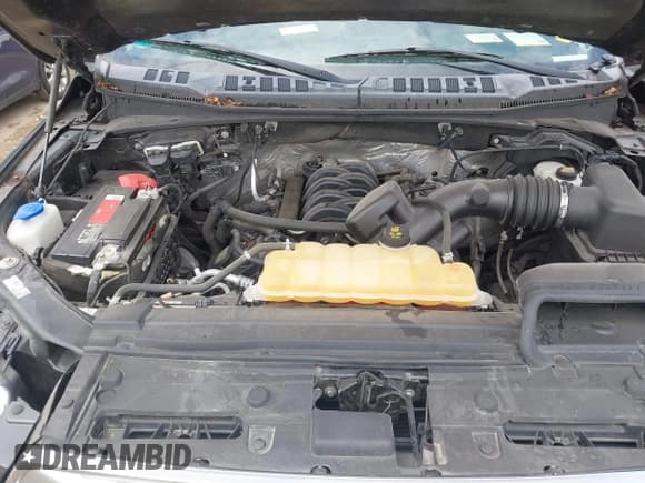 ✅ 2015 Ford F-150 XLT • VIN: 1FTEW1EF2FFC89038 • Lot: 43100106. Wystawiony na IAAI z przebiegiem 83 726 mil. Bezpłatny archiwum sprzedaży aukcyjnych z USA i szczegółowy raport historii pojazdu na DreamBid. Zdjęcie 10.