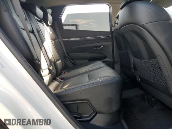 ✅ 2024 Hyundai Tucson Limited • VIN: KM8JECD13RU229221 • Lot: 81513345. Wystawiony na Copart z przebiegiem 19 672 mil. Bezpłatny archiwum sprzedaży aukcyjnych z USA i szczegółowy raport historii pojazdu na DreamBid. Zdjęcie 11.