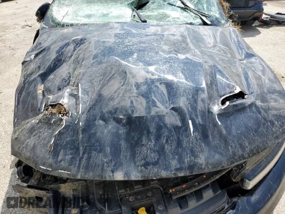 2024 Dodge Hornet GT z VIN ZACNDFANXR3A30581, wystawiony jako Copart lot #56541875 z przebiegiem Nie podano mil oraz Szkoda całkowita • Salvage title. Historia ofert i sprzedaży dostępna na DreamBid. Obrazek 11.