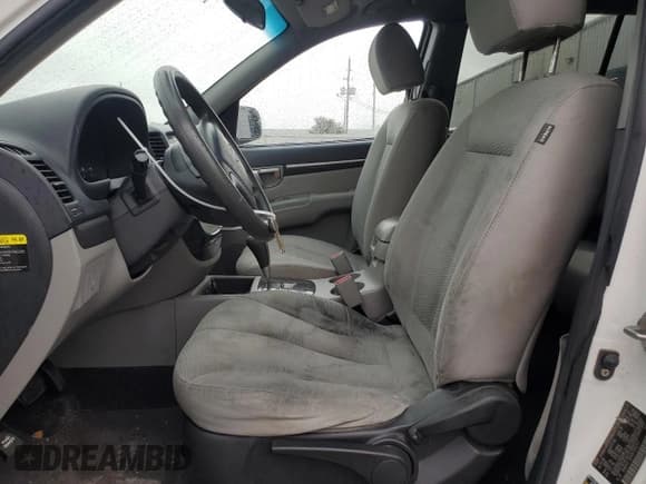 ✅ 2009 Hyundai Santa Fe GLS • VIN: 5NMSG13D69H300311 • Lot: 79285574. Listed on Copart with 412,959 mi. Free auction sales archive from the USA and detailed vehicle history report at DreamBid. Image 7.