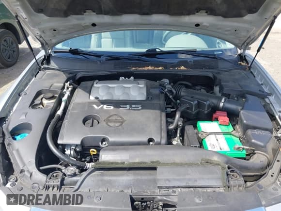 ✅ 2007 Nissan Maxima SE • VIN: 1N4BA41E77C862623 • Lot: 42660896. Listed on IAAI with 117,276 mi. Free auction sales archive from the USA and detailed vehicle history report at DreamBid. Image 10.