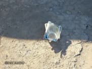 ✅ 2007 Jeep Commander Sport • VIN: 1J8HH48K77C587615 • Lot: 41149777. Wystawiony na IAAI z przebiegiem 167 871 mil. Bezpłatny archiwum sprzedaży aukcyjnych z USA i szczegółowy raport historii pojazdu na DreamBid. Zdjęcie 12.