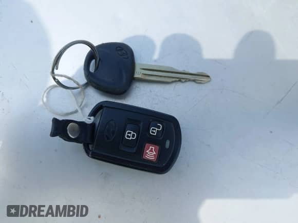 2005 Hyundai Santa Fe GLS z VIN KM8SC73E75U938928, wystawiony jako IAAI lot #42298752 z przebiegiem 147 476 mil mil oraz . Historia ofert i sprzedaży dostępna na DreamBid. Obrazek 11.