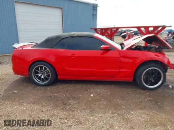 2014 Ford Mustang V6 с VIN 1ZVBP8EMXE5245569, выставлен на аукционе IAAI как лот 43398061 с пробегом Не указан миль и . История ставок и продаж доступна на DreamBid. Изображение 14.