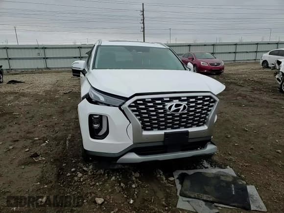 ✅ 2022 Hyundai Palisade SEL • VIN: KM8R44HE7NU352488 • Лот: 85151824. Опубликован ранее на Copart с пробегом 26 131 миль. Бесплатный доступ к архиву аукционных продаж из США и подробный отчёт об истории автомобиля на DreamBid. Изображение 12.