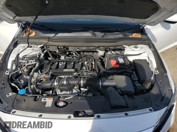 ✅ 2019 Honda Accord EX • VIN: 1HGCV1F41KA074024 • Lot: 84728565. Wystawiony na Copart z przebiegiem 62 349 mil. Bezpłatny archiwum sprzedaży aukcyjnych z USA i szczegółowy raport historii pojazdu na DreamBid. Zdjęcie 11.