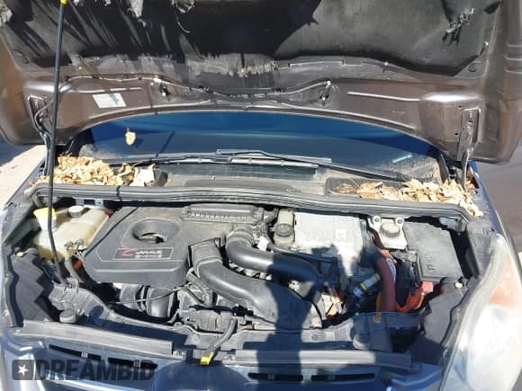 ✅ 2013 Ford C-Max SEL • VIN: 1FADP5CU0DL539852 • Lot: 43501883. Wystawiony na IAAI z przebiegiem 176 072 mil. Bezpłatny archiwum sprzedaży aukcyjnych z USA i szczegółowy raport historii pojazdu na DreamBid. Zdjęcie 10.