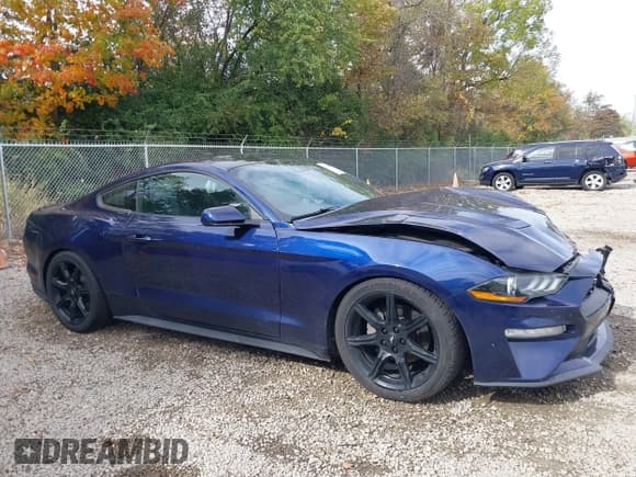 ✅ 2019 Ford Mustang EcoBoost • VIN: 1FA6P8TH3K5167776 • Lot: 43544088. Wystawiony na IAAI z przebiegiem 83 964 mil. Bezpłatny archiwum sprzedaży aukcyjnych z USA i szczegółowy raport historii pojazdu na DreamBid. Zdjęcie 14.