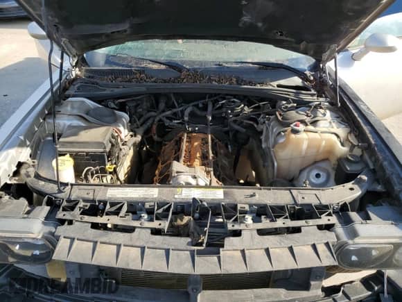 2009 Dodge Challenger SRT-8 z VIN 2B3LJ74W29H563241, wystawiony jako Copart lot #73367354 z przebiegiem Nie podano mil oraz Czysty tytuł • Clean title. Historia ofert i sprzedaży dostępna na DreamBid. Obrazek 11.