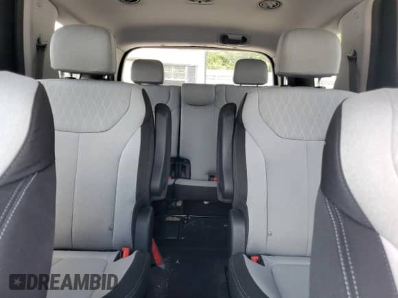 2020 Hyundai Palisade SEL with VIN KM8R3DHE0LU093052, listed as a Copart auction lot 62419744 with 77,304 mi miles and Salvage title. Bid and sale history available at DreamBid. Image 10.