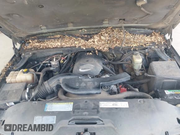 ✅ 2001 Chevrolet Suburban LS • VIN: 3GNEC16T71G217733 • Лот: 43040582. Опубликован ранее на IAAI с пробегом 233 216 миль. Бесплатный доступ к архиву аукционных продаж из США и подробный отчёт об истории автомобиля на DreamBid. Изображение 10.