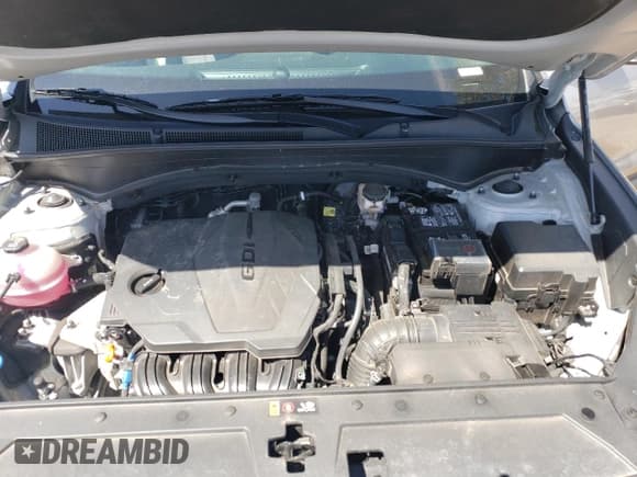 ✅ 2022 Hyundai Santa Fe SE • VIN: 5NMS1DAJ3NH443805 • Lot: 53084444. Wystawiony na Copart z przebiegiem 37 632 mil. Bezpłatny archiwum sprzedaży aukcyjnych z USA i szczegółowy raport historii pojazdu na DreamBid. Zdjęcie 14.